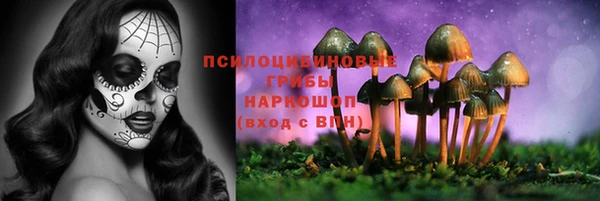 а пвп мука Кодинск