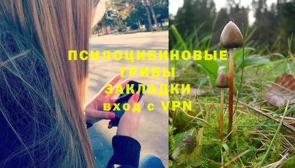 а пвп мука Кодинск